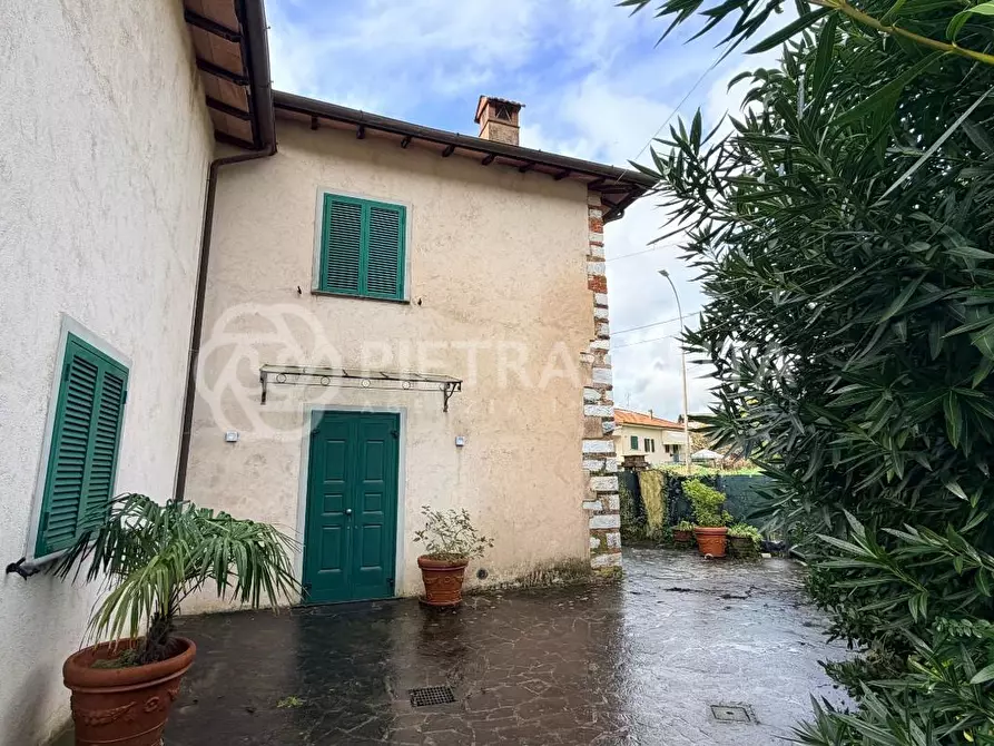 Immagine 7 di Villa in affitto  a Pietrasanta