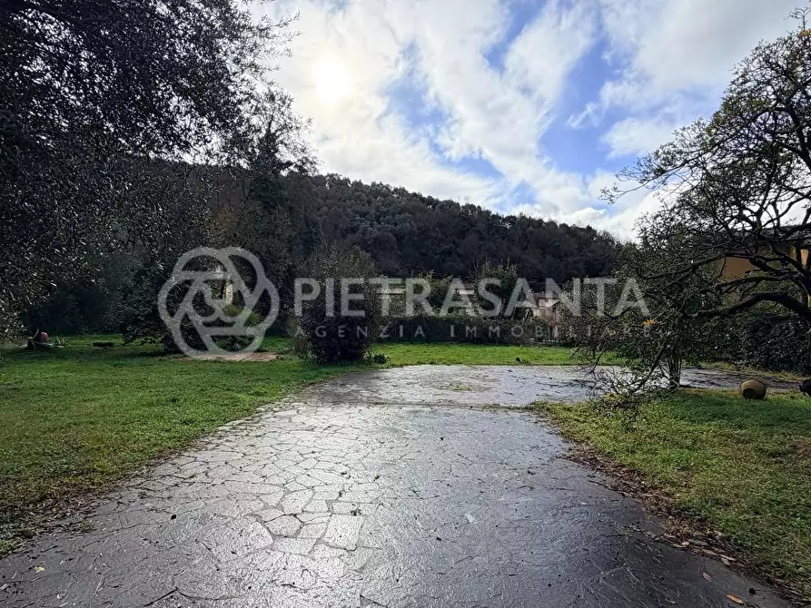 Immagine 4 di Villa in affitto  a Pietrasanta