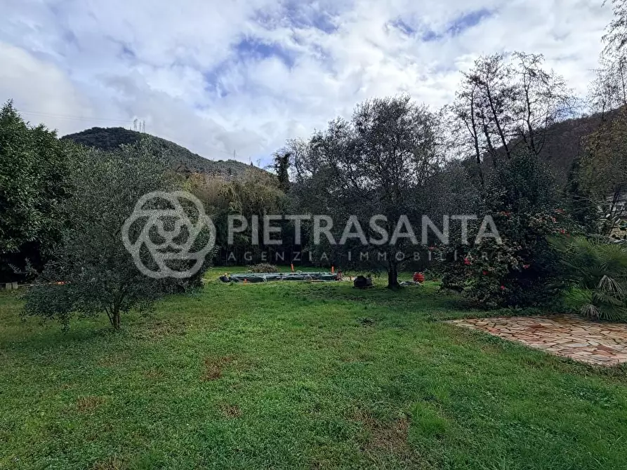 Immagine 2 di Villa in affitto  a Pietrasanta