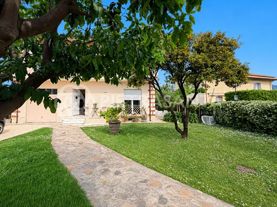 Immagine 2 di Villa in affitto  a Pietrasanta