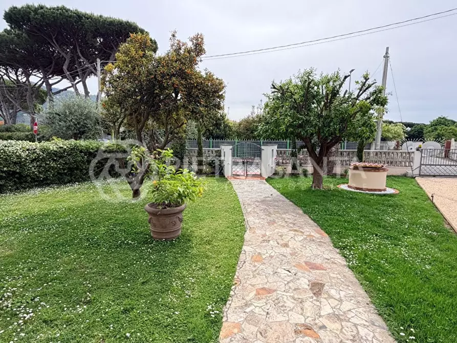 Immagine 39 di Villa in affitto  a Pietrasanta