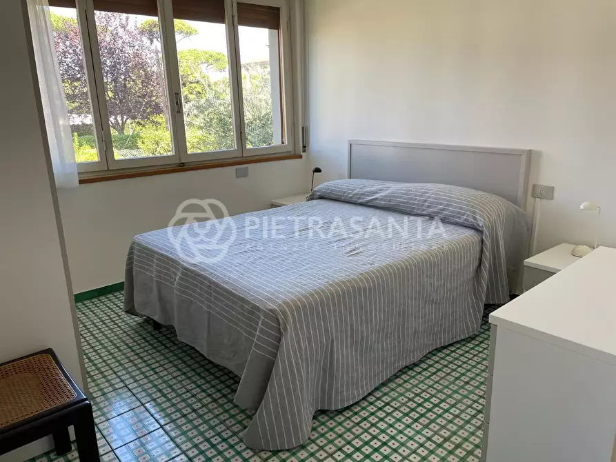 Immagine 45 di Villa in affitto  a Forte Dei Marmi