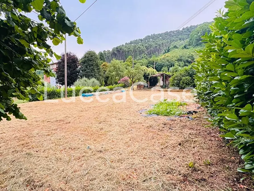 Immagine 3 di Casa indipendente in vendita  a Capannori