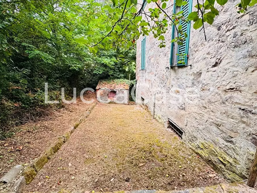 Immagine 9 di Casa indipendente in vendita  a Capannori