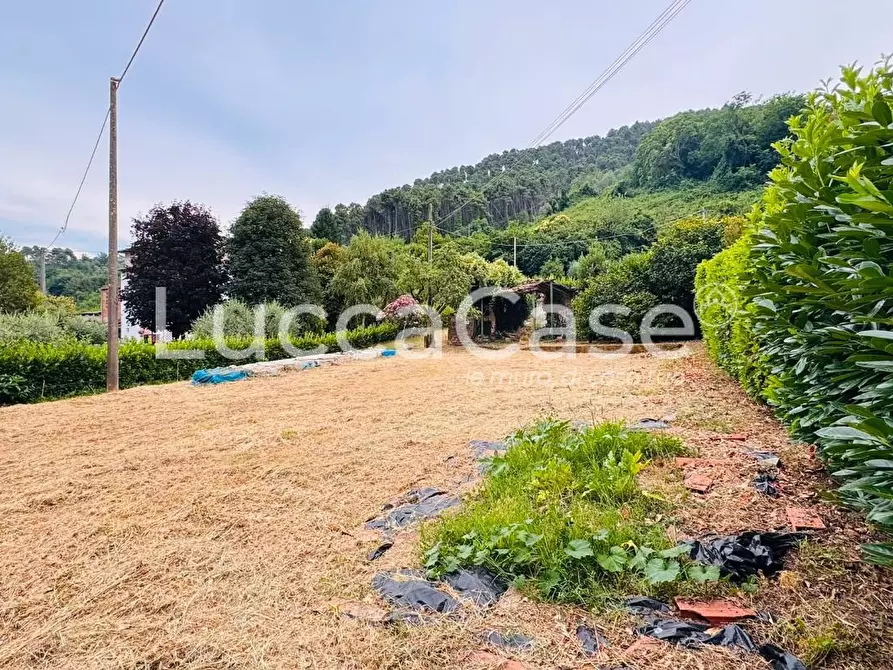 Immagine 4 di Casa indipendente in vendita  a Capannori
