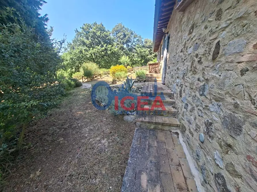 Immagine 6 di Appartamento in vendita  a Casole D'elsa