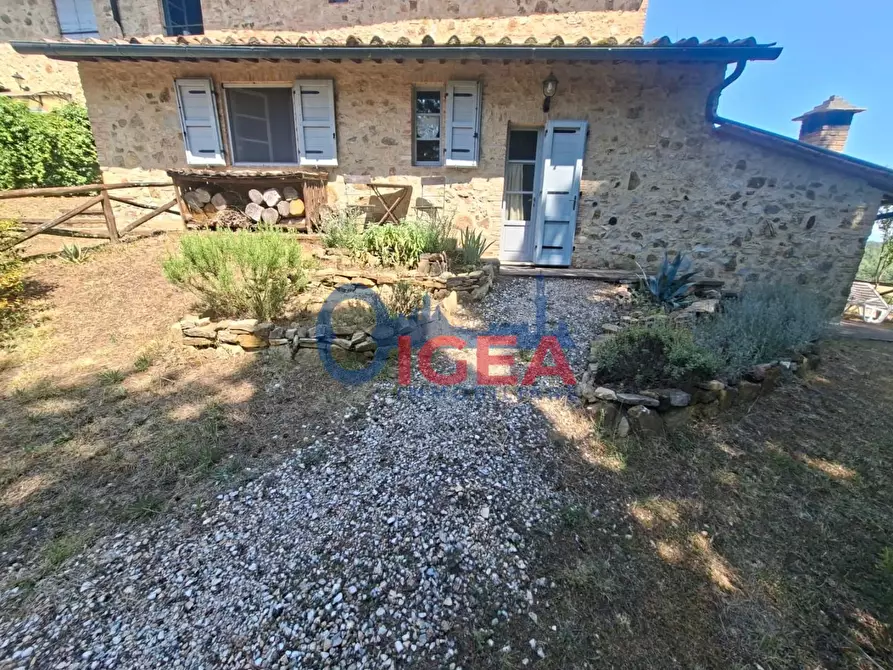 Immagine 4 di Appartamento in vendita  a Casole D'elsa
