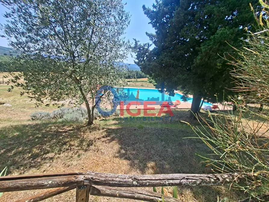 Immagine 7 di Appartamento in vendita  a Casole D'elsa