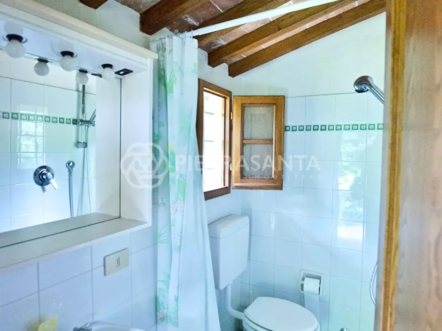 Immagine 23 di Rustico / casale in affitto  a Pietrasanta