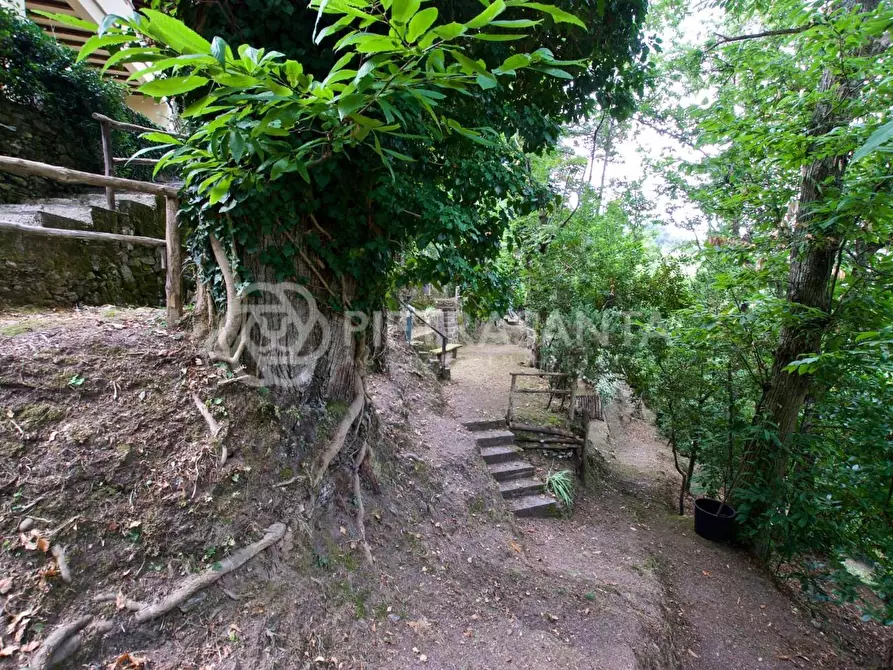 Immagine 24 di Rustico / casale in affitto  a Pietrasanta