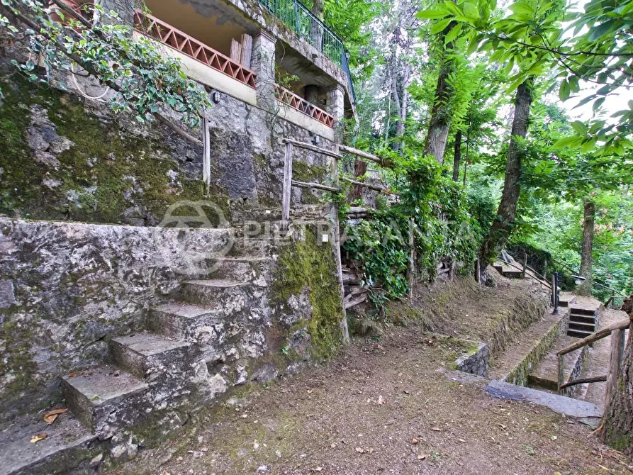 Immagine 28 di Rustico / casale in affitto  a Pietrasanta