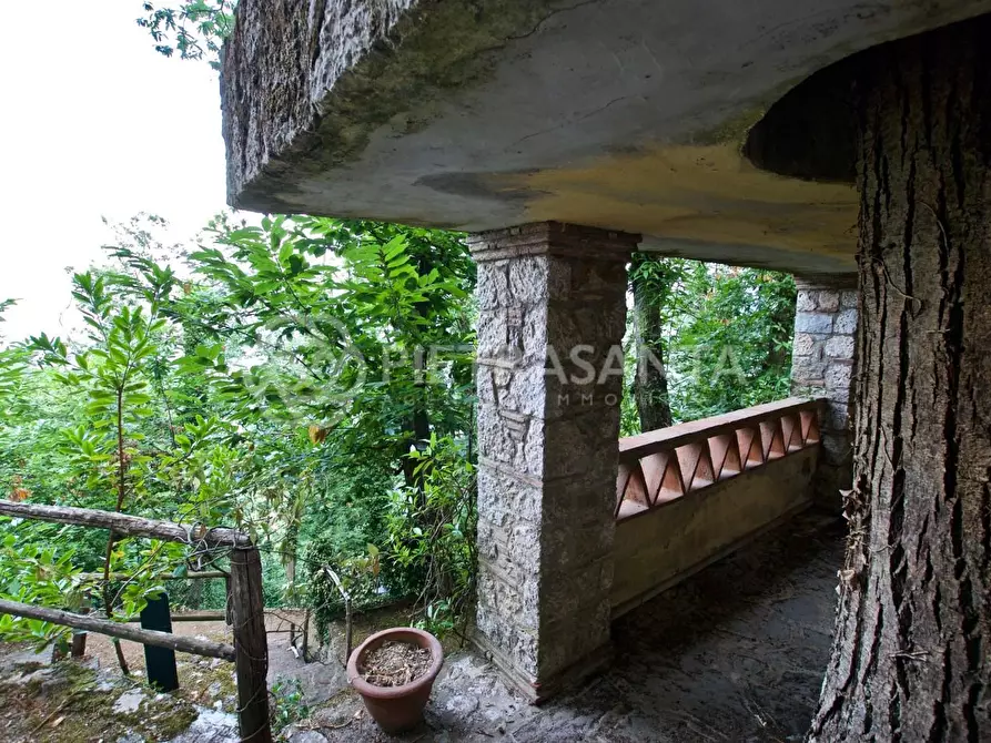 Immagine 31 di Rustico / casale in affitto  a Pietrasanta