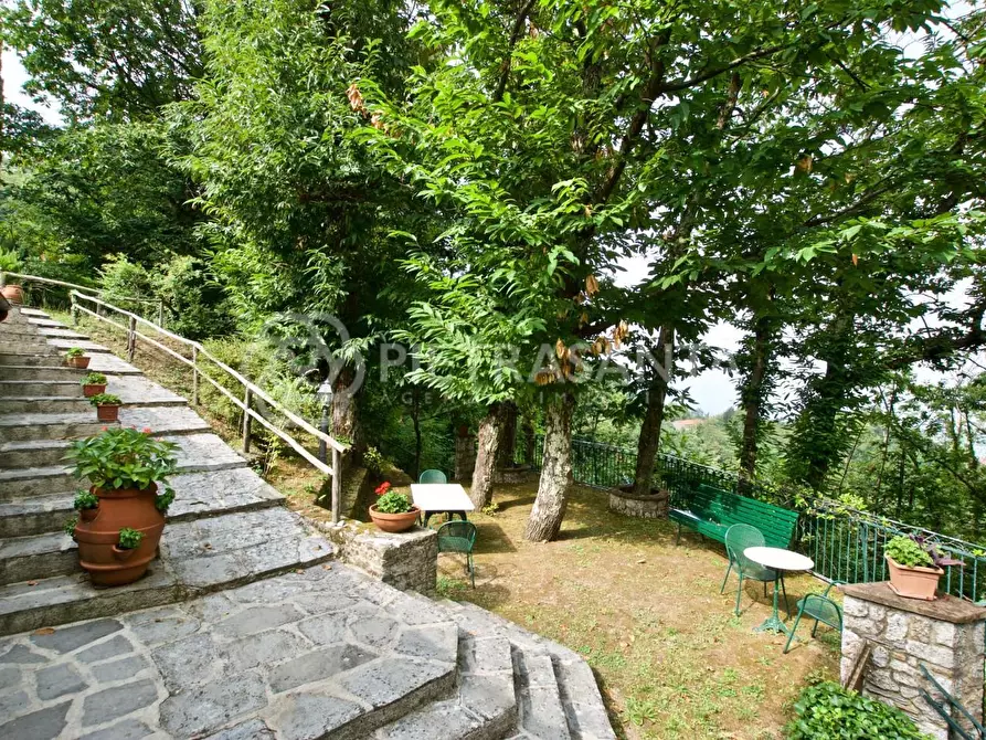 Immagine 3 di Rustico / casale in affitto  a Pietrasanta
