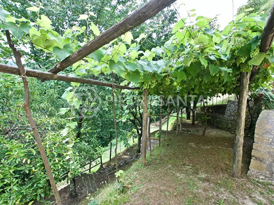 Immagine 35 di Rustico / casale in affitto  a Pietrasanta