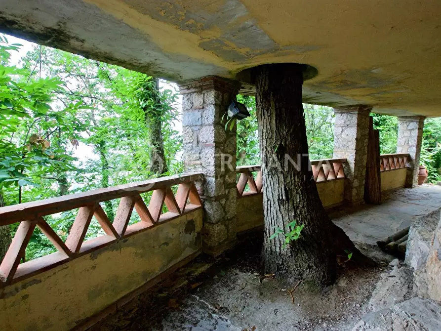 Immagine 32 di Rustico / casale in affitto  a Pietrasanta