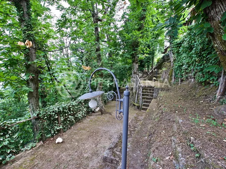 Immagine 30 di Rustico / casale in affitto  a Pietrasanta