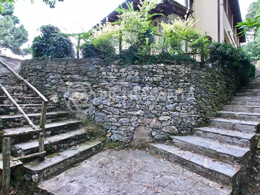 Immagine 26 di Rustico / casale in affitto  a Pietrasanta