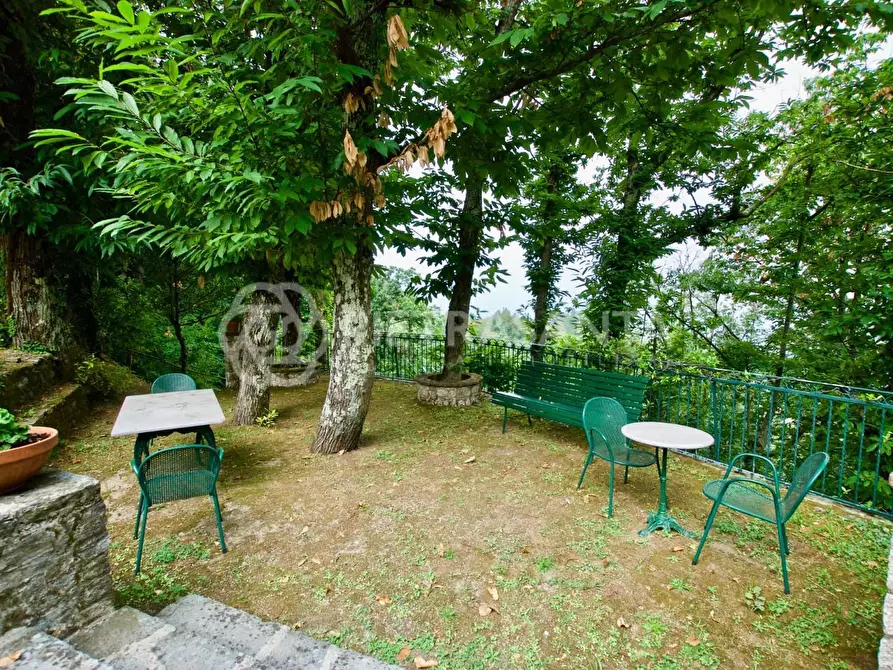 Immagine 2 di Rustico / casale in affitto  a Pietrasanta