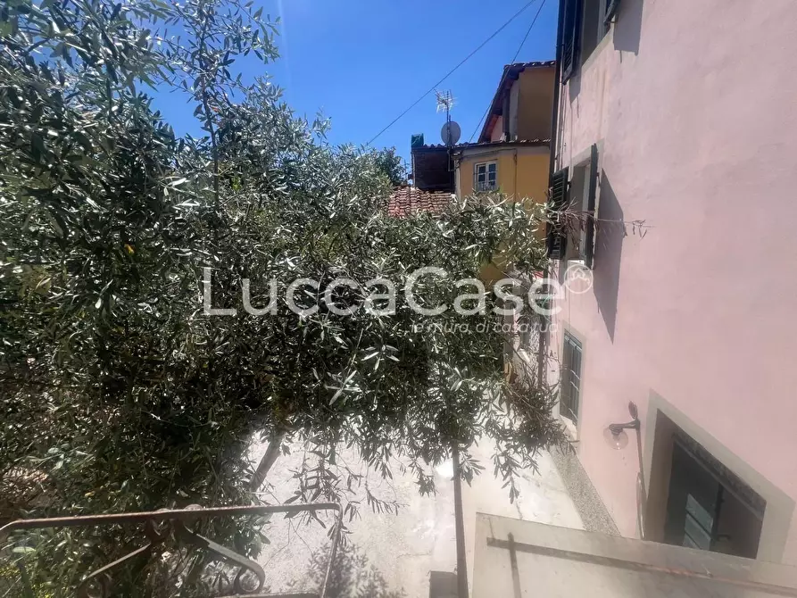 Immagine 6 di Casa bifamiliare in vendita  a Lucca