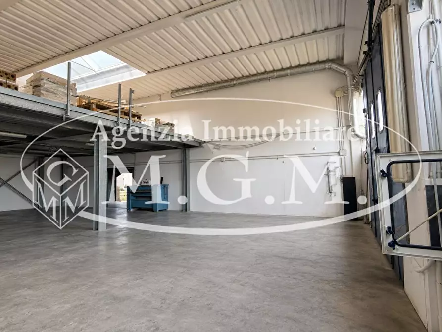Immagine 4 di Capannone industriale in vendita  a Calcinaia
