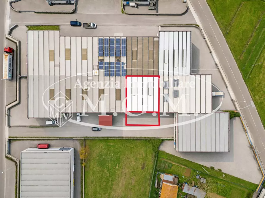 Immagine 3 di Capannone industriale in vendita  a Calcinaia