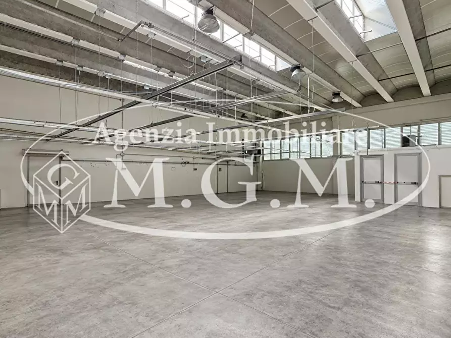 Immagine 6 di Capannone industriale in affitto  a Calcinaia