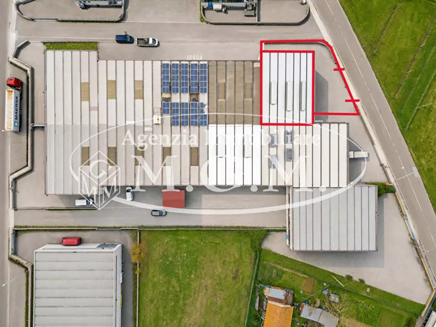 Immagine 3 di Capannone industriale in affitto  a Calcinaia