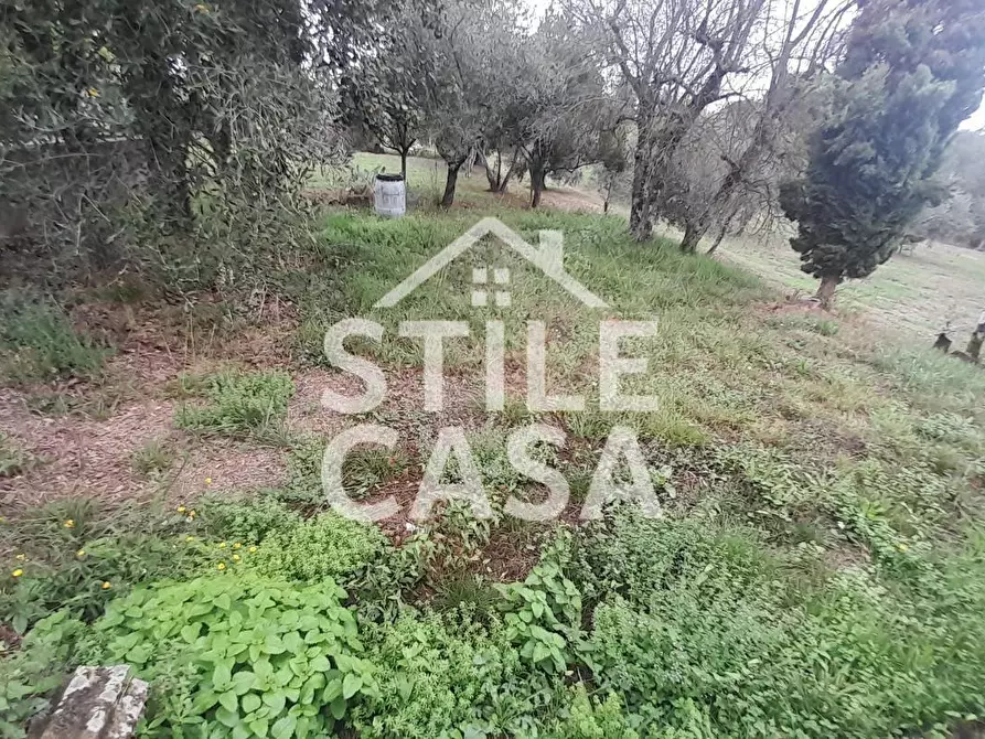 Immagine 29 di Casa semindipendente in vendita  a Fucecchio