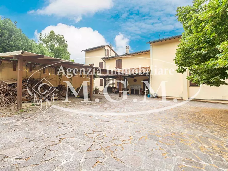 Immagine 11 di Rustico / casale in vendita  a Calcinaia