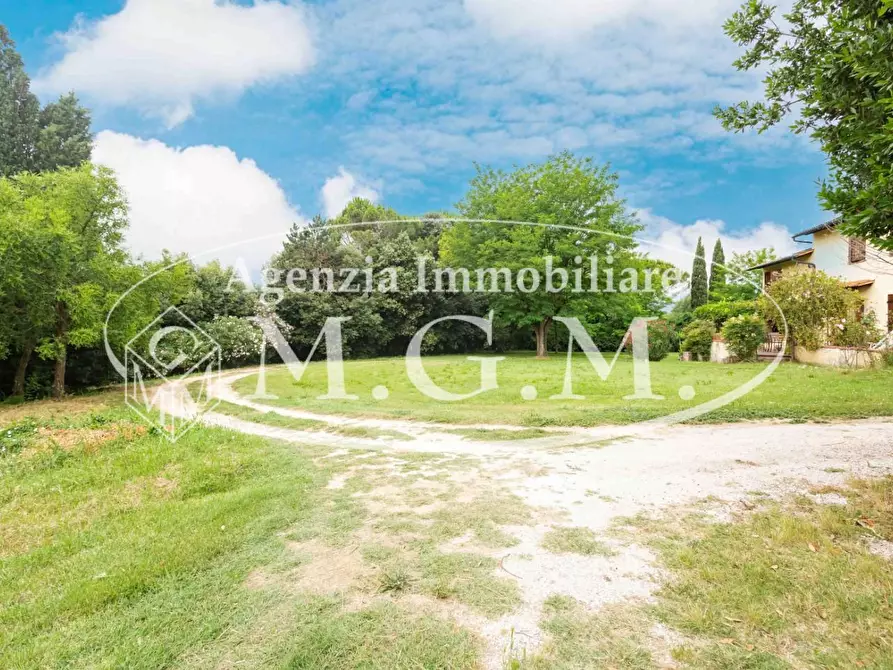 Immagine 7 di Rustico / casale in vendita  a Calcinaia
