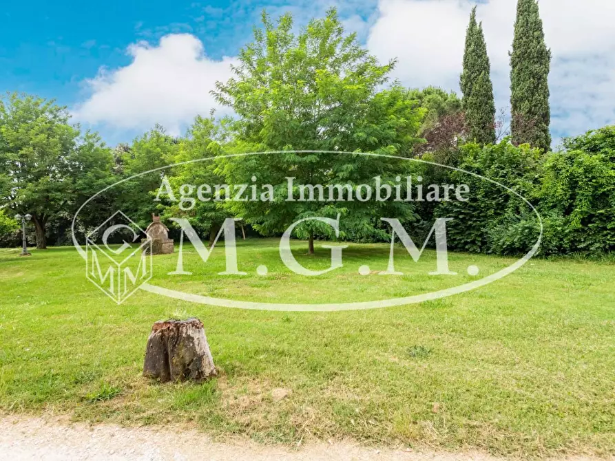Immagine 5 di Rustico / casale in vendita  a Calcinaia