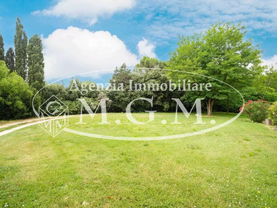 Immagine 6 di Rustico / casale in vendita  a Calcinaia