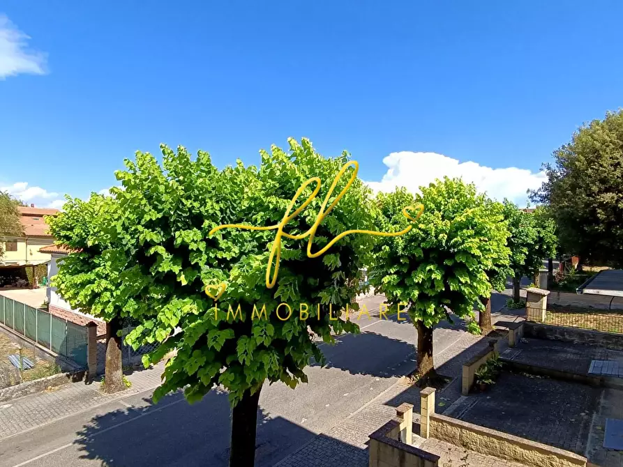 Immagine 16 di Appartamento in vendita  a Pomarance