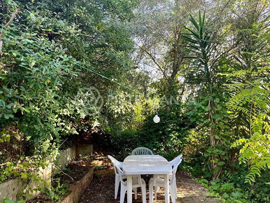 Immagine 11 di Appartamento in affitto  a Pietrasanta