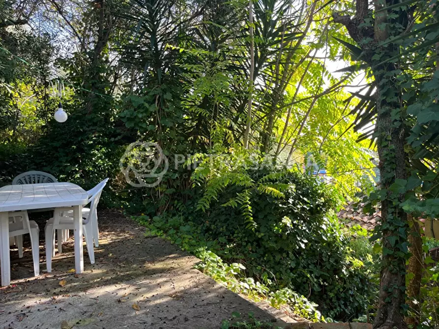 Immagine 32 di Appartamento in affitto  a Pietrasanta