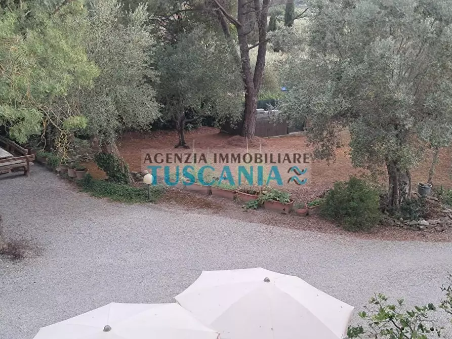 Immagine 36 di Casa indipendente in vendita  a Suvereto
