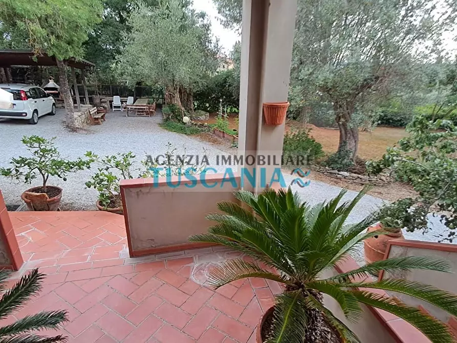 Immagine 16 di Casa indipendente in vendita  a Suvereto