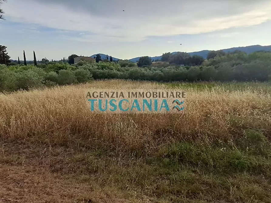 Immagine 44 di Casa indipendente in vendita  a Suvereto