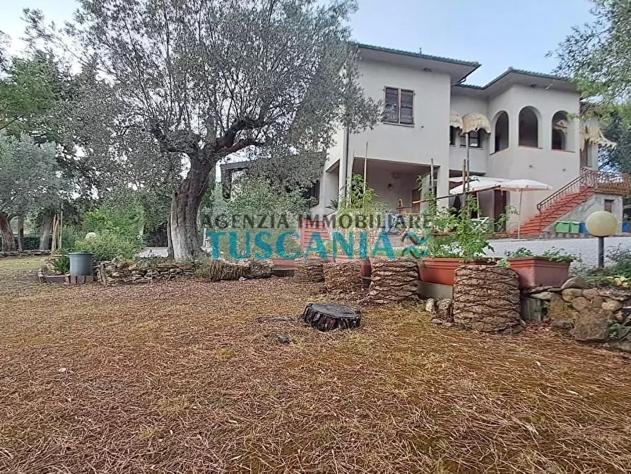 Immagine 37 di Casa indipendente in vendita  a Suvereto