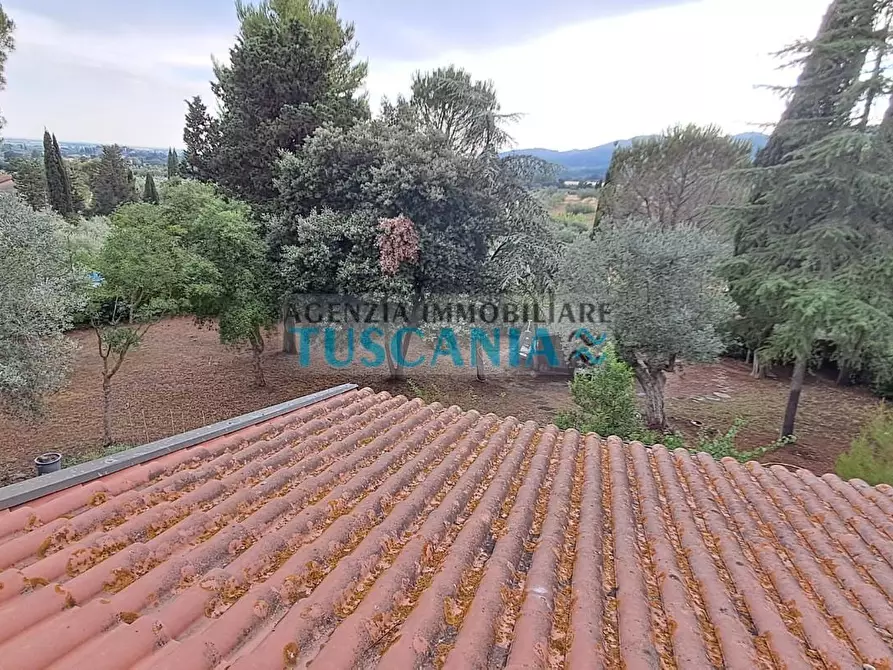 Immagine 30 di Casa indipendente in vendita  a Suvereto