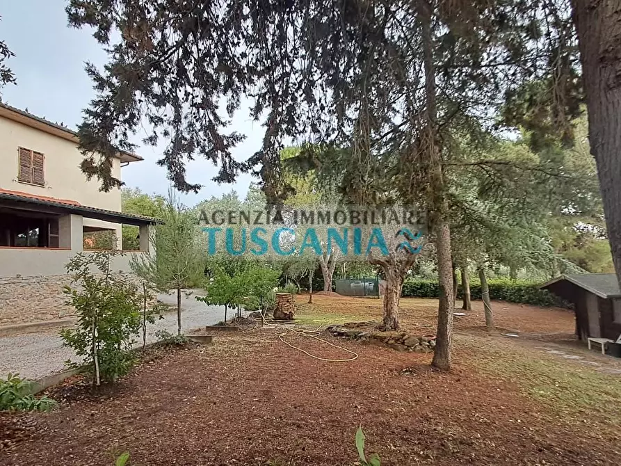 Immagine 5 di Casa indipendente in vendita  a Suvereto