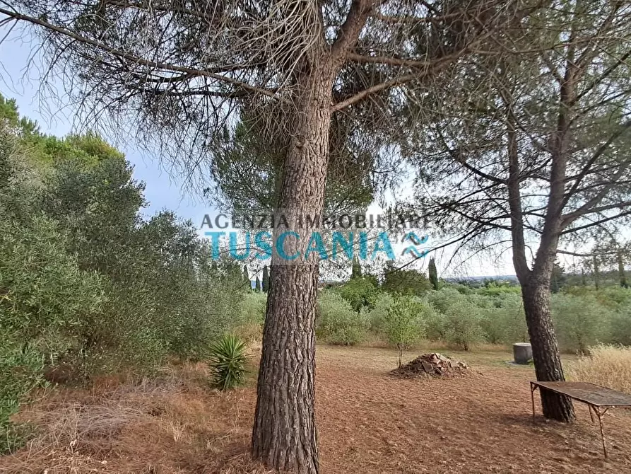 Immagine 45 di Casa indipendente in vendita  a Suvereto