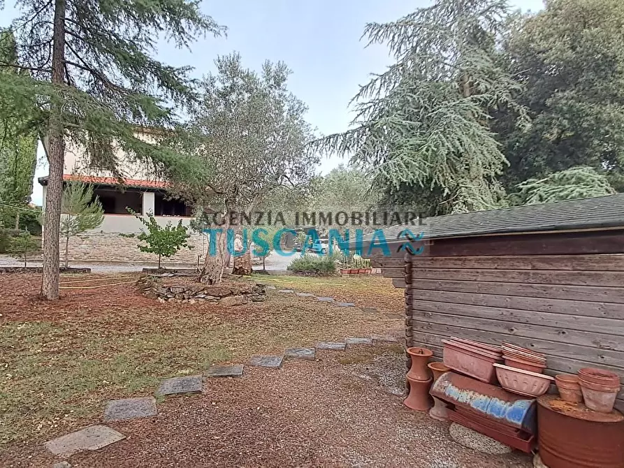 Immagine 40 di Casa indipendente in vendita  a Suvereto
