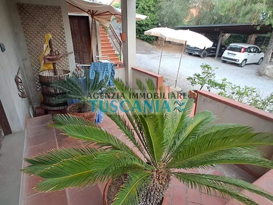 Immagine 15 di Casa indipendente in vendita  a Suvereto