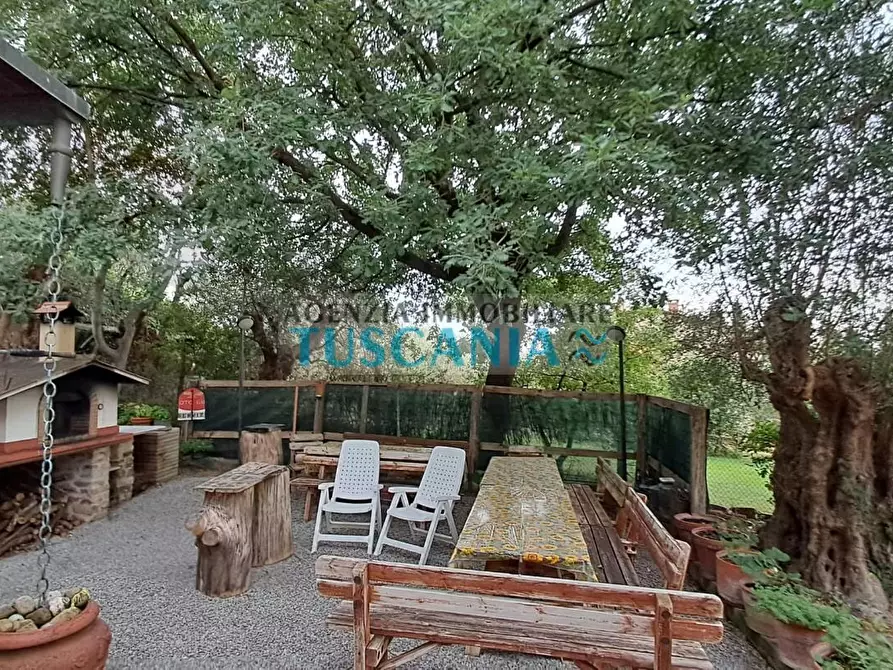 Immagine 39 di Casa indipendente in vendita  a Suvereto