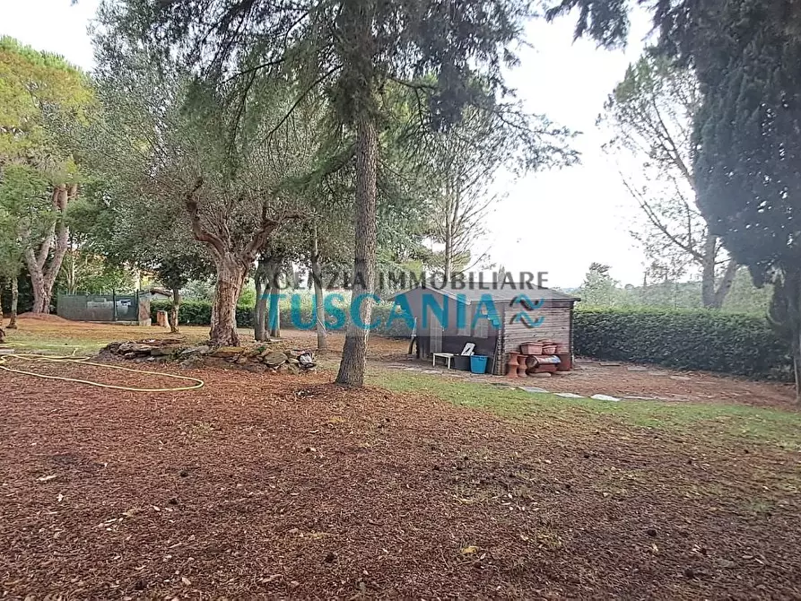 Immagine 9 di Casa indipendente in vendita  a Suvereto