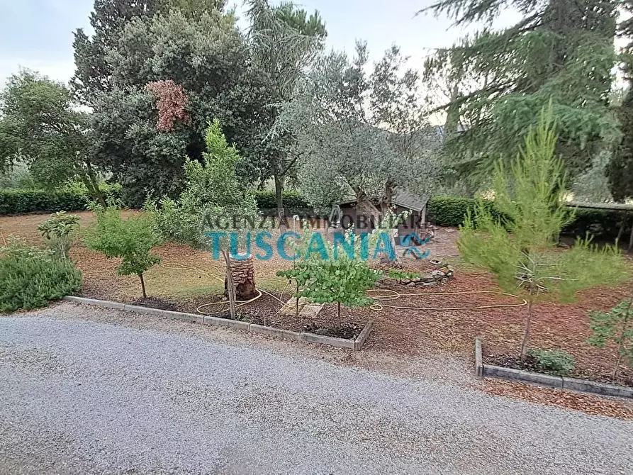 Immagine 8 di Casa indipendente in vendita  a Suvereto