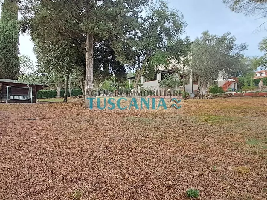 Immagine 10 di Casa indipendente in vendita  a Suvereto
