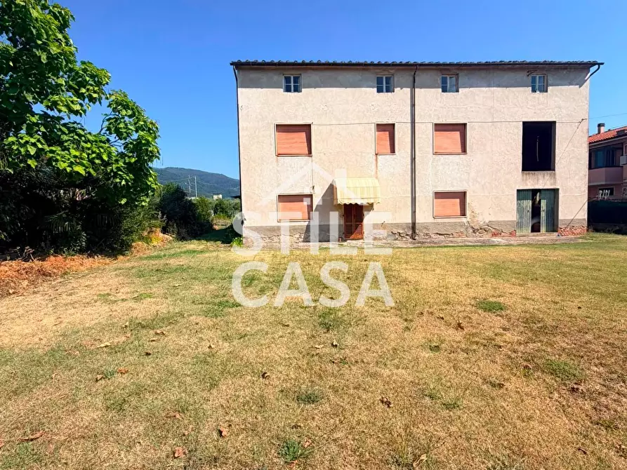 Immagine 3 di Casa colonica in vendita  a Pescia
