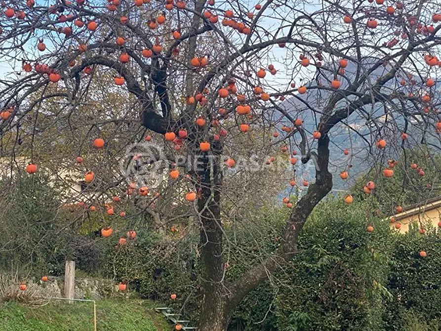 Immagine 12 di Rustico / casale in vendita  a Pietrasanta